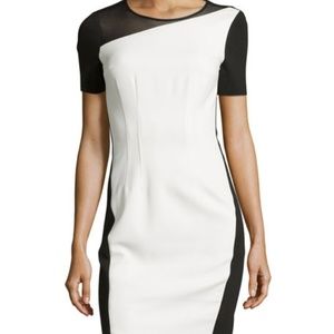 Tahari-Colorblock-Mesh-Neckline-Short-Sleeve